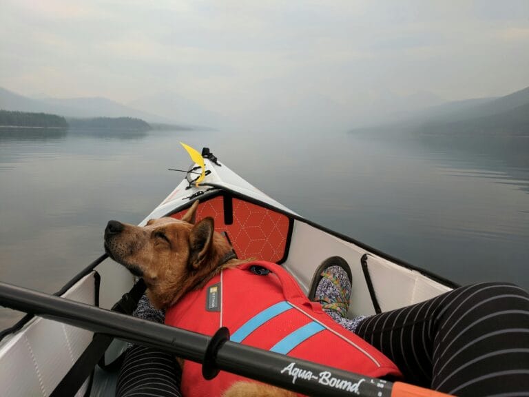 Kayaking with Dog